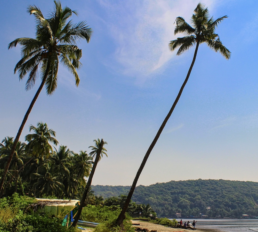 Sreehari Devadas Tourist